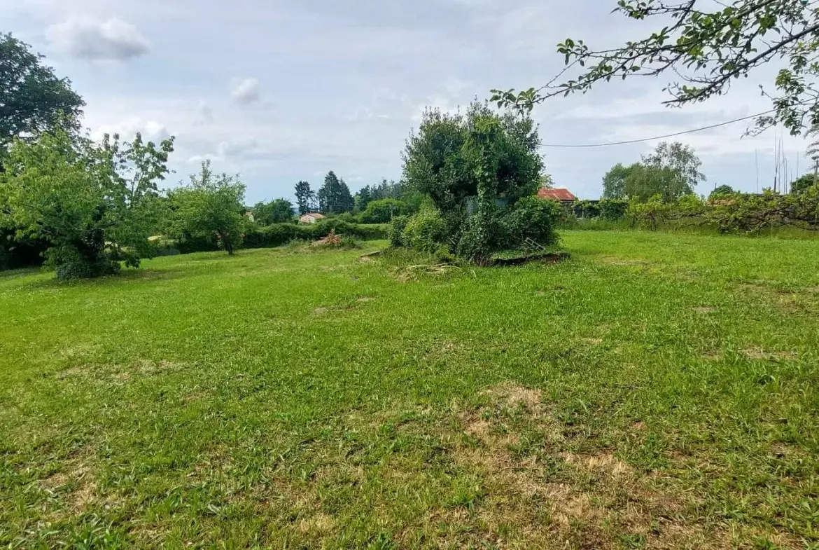 Maison de Bourg à Étagnac avec Grand Terrain et Dépendances 