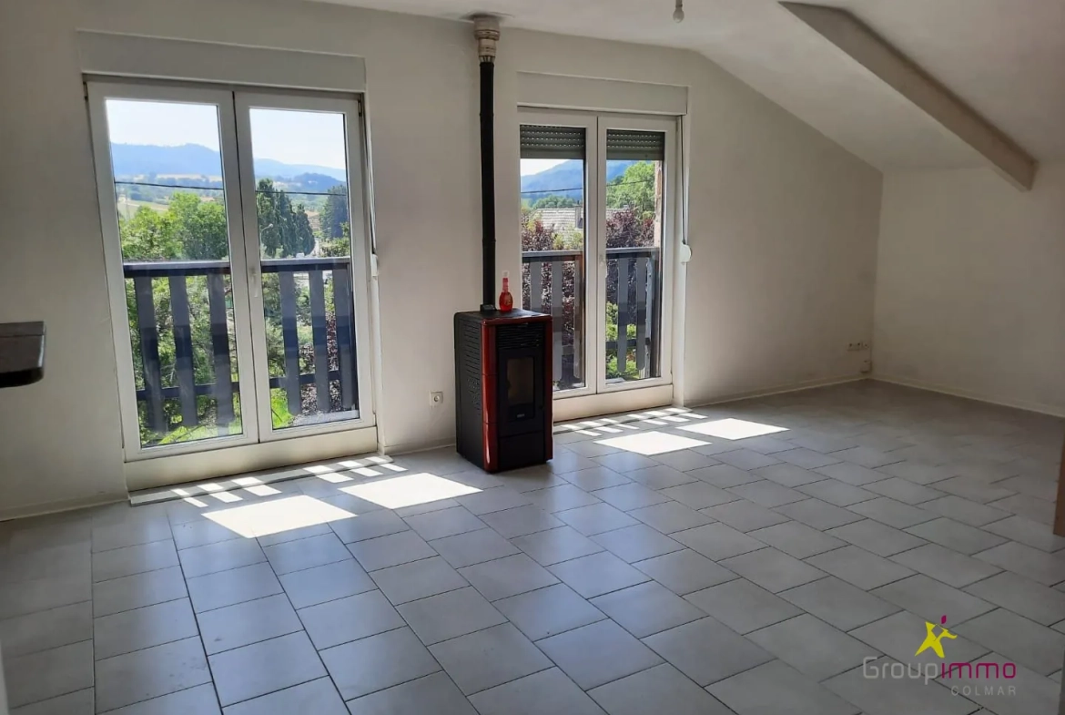 Immeuble de 142 m² en vente à Triembach-au-Val, investissement locatif rentable 