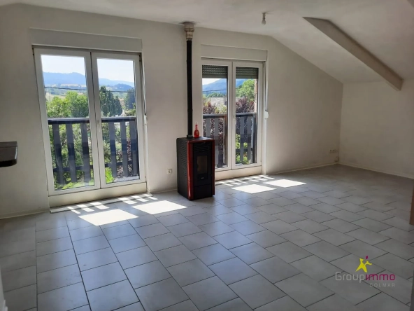Immeuble de 142 m² en vente à Triembach-au-Val, investissement locatif rentable