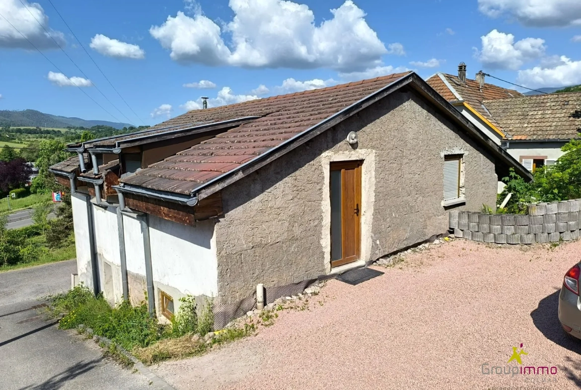 Immeuble de 142 m² en vente à Triembach-au-Val, investissement locatif rentable 