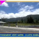 Terrain viabilisé à La Plaine des Palmistes avec vue montagne, proximité écoles et commerces