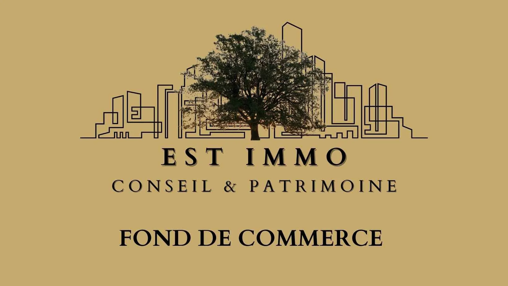 Fonds de commerce à Strasbourg près de la Cathédrale - 80 m² à vendre 
