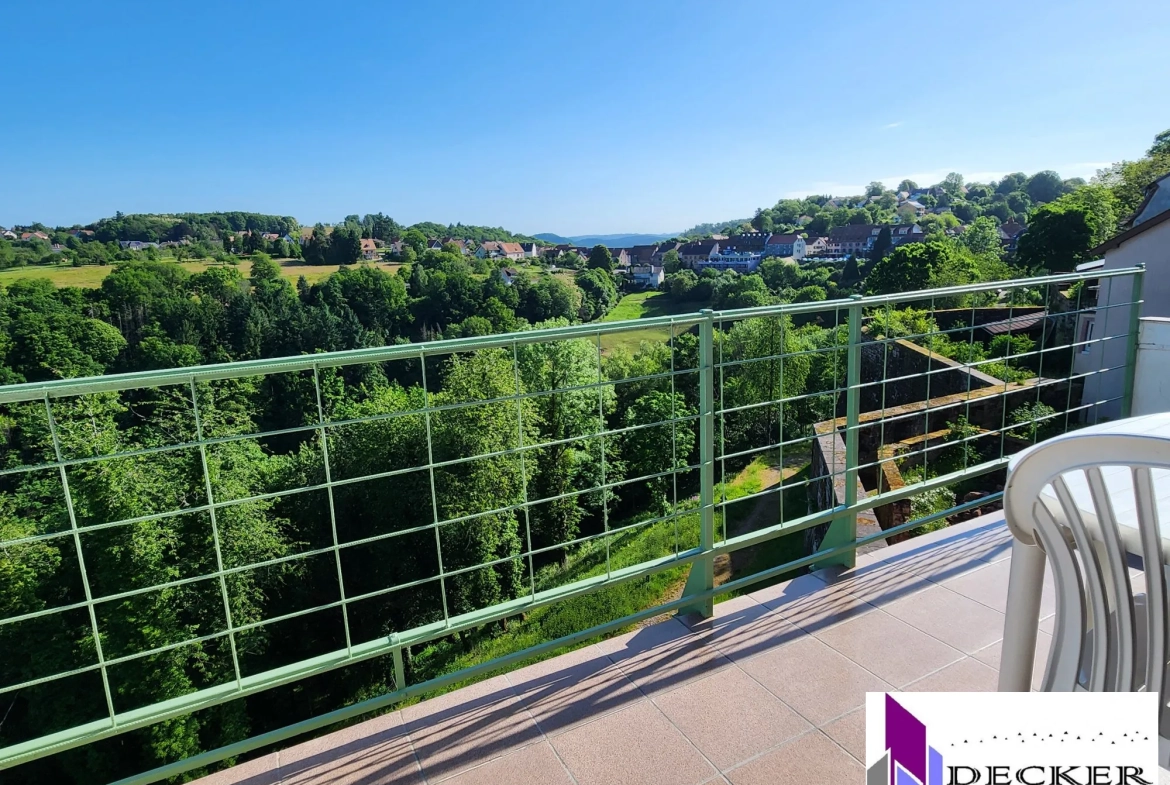 Appartement T3 meublé de 60m² avec terrasse dans le vieux village de La Petite Pierre 