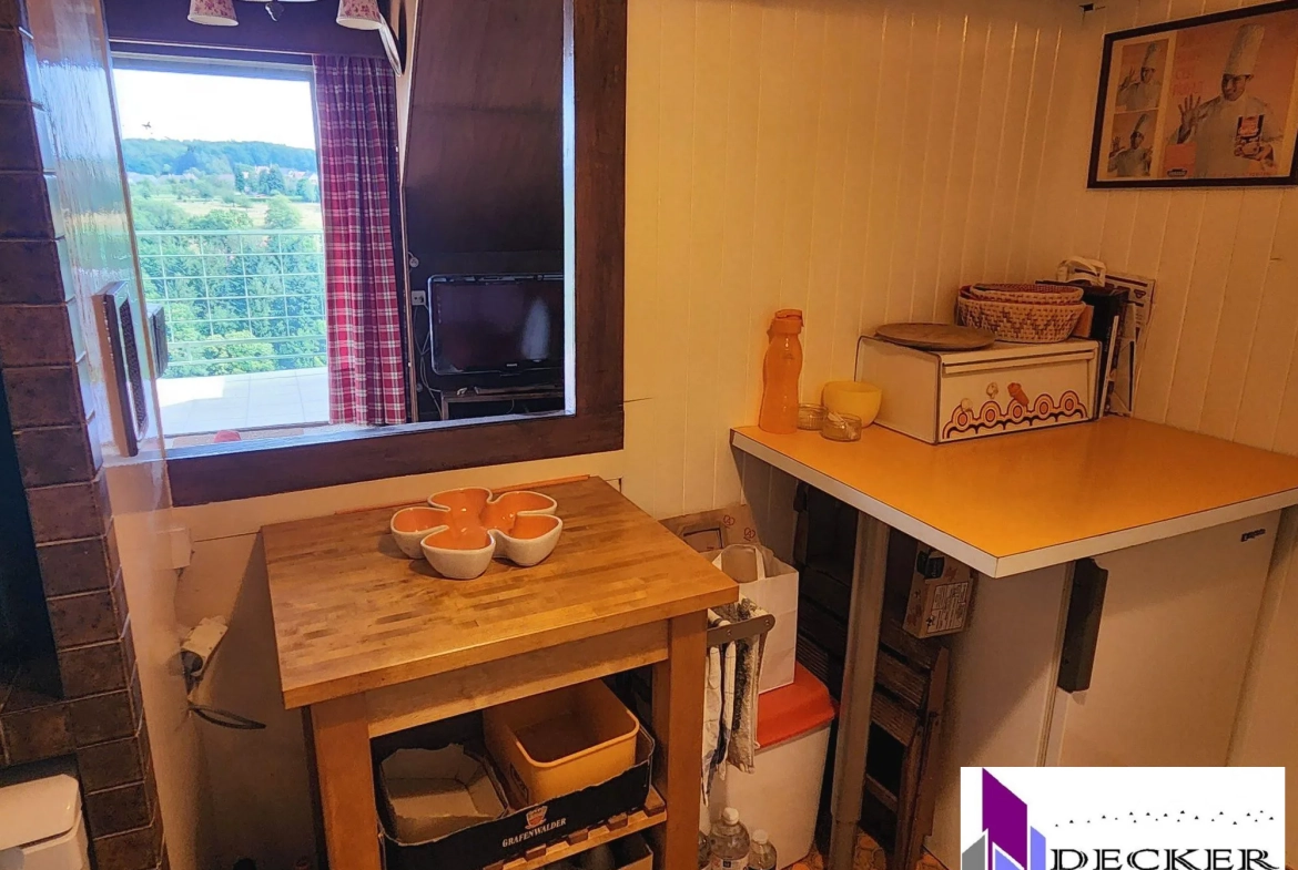 Appartement T3 meublé de 60m² avec terrasse dans le vieux village de La Petite Pierre 