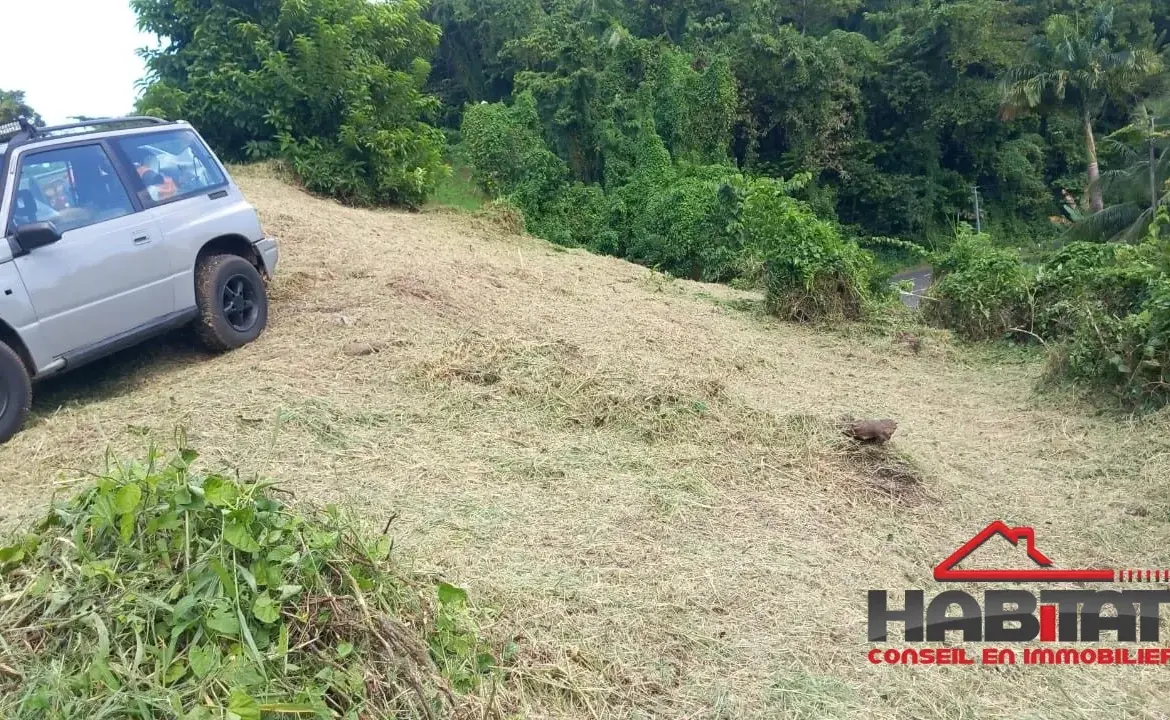 Terrain de 1001 m² à Trinité, à 10 min de la plage de Cosmy, idéal pour investissement ou construction 