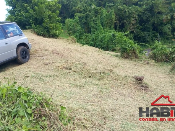 Terrain de 1001 m² à Trinité, à 10 min de la plage de Cosmy, idéal pour investissement ou construction
