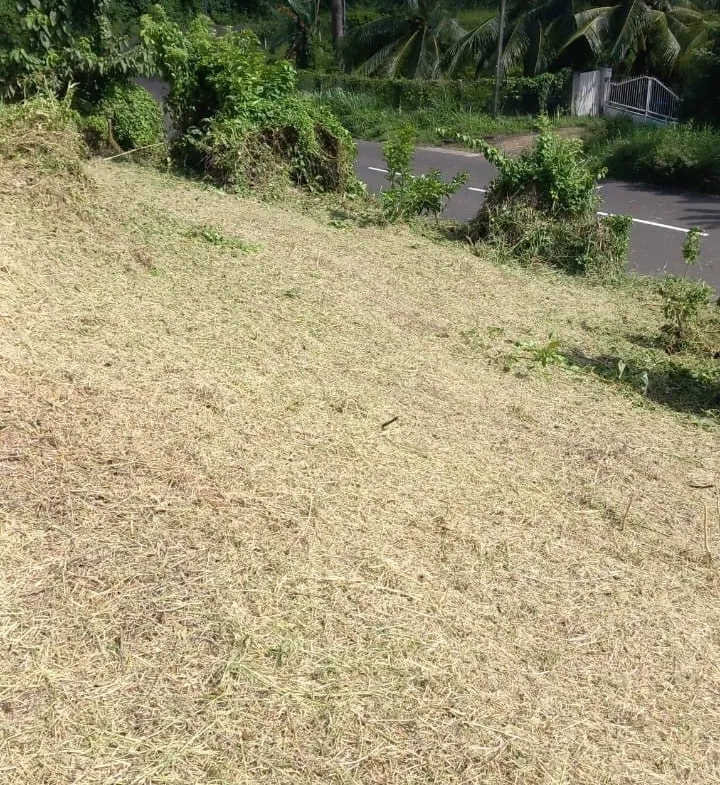 Terrain de 1001 m² à Trinité, à 10 min de la plage de Cosmy, idéal pour investissement ou construction 