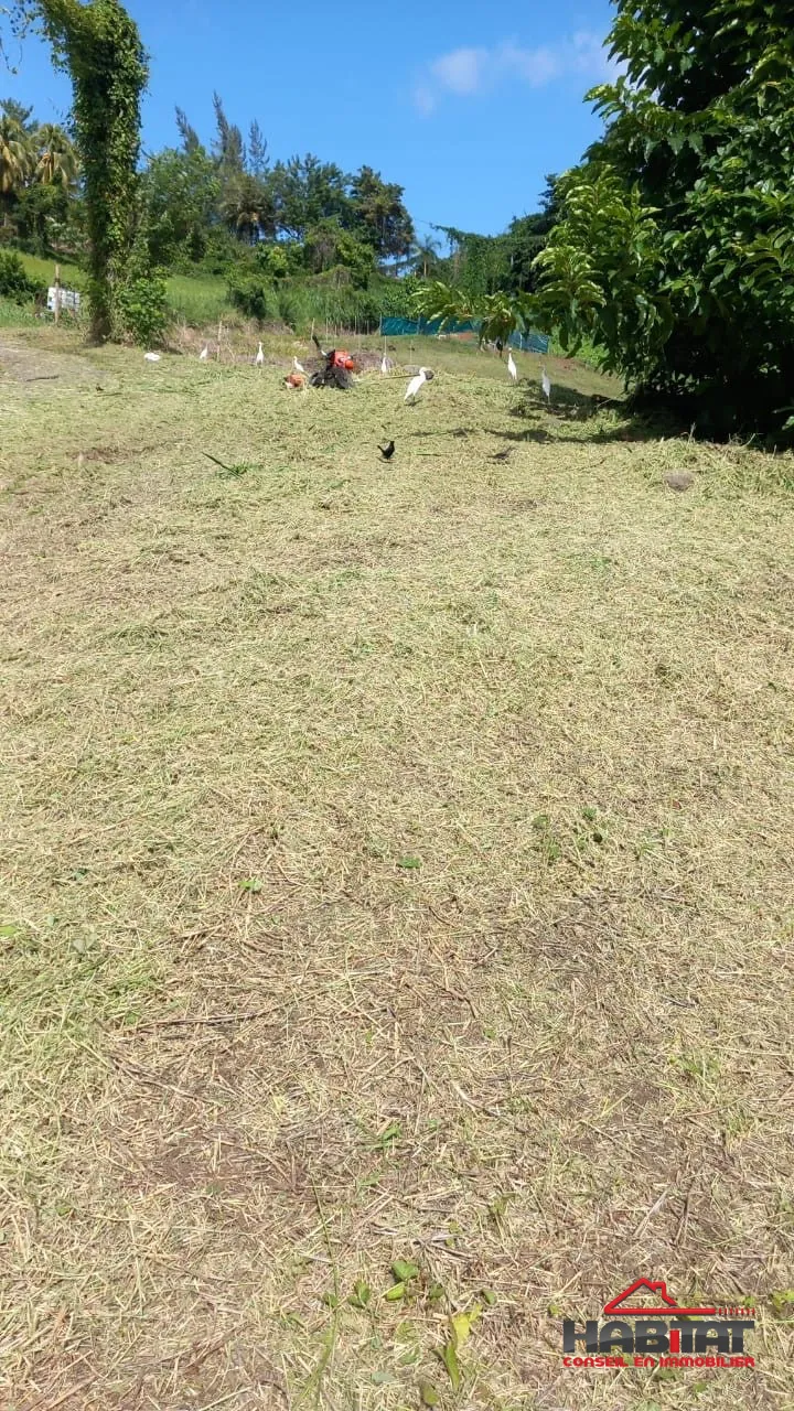 Terrain de 1001 m² à Trinité, à 10 min de la plage de Cosmy, idéal pour investissement ou construction 
