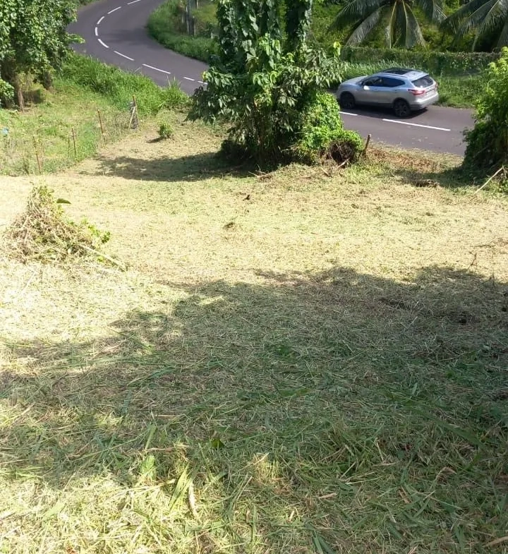 Terrain de 1001 m² à Trinité, à 10 min de la plage de Cosmy, idéal pour investissement ou construction 