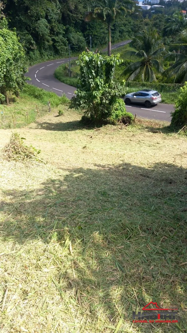 Terrain de 1001 m² à Trinité, à 10 min de la plage de Cosmy, idéal pour investissement ou construction 