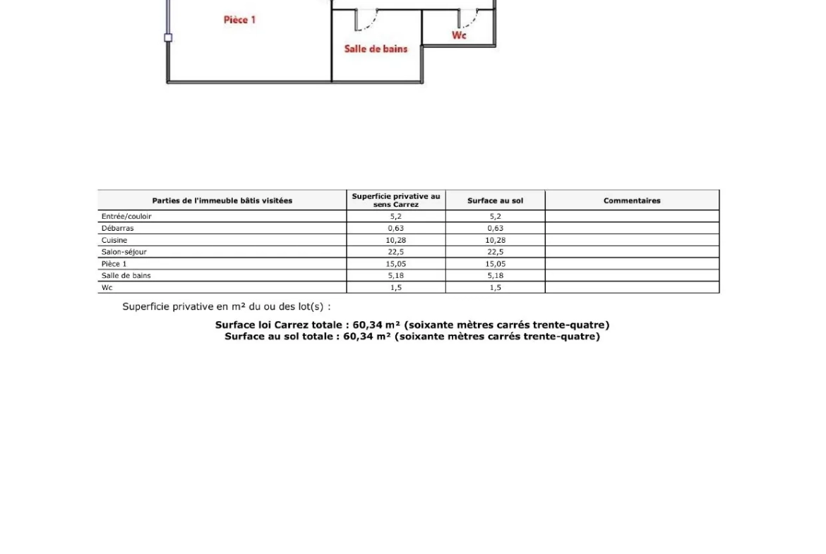 Appartement 2 pièces à vendre à Haguenau - Spacieux et lumineux 