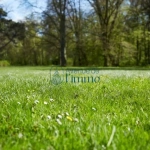 Terrain constructible viabilisé à Cholet – environnement calme et accessible