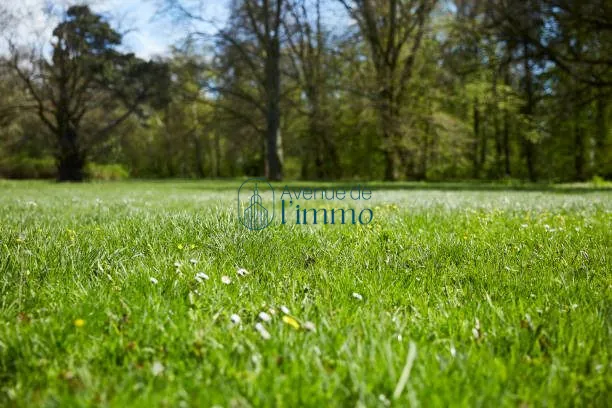 Terrain constructible viabilisé à Cholet – environnement calme et accessible 