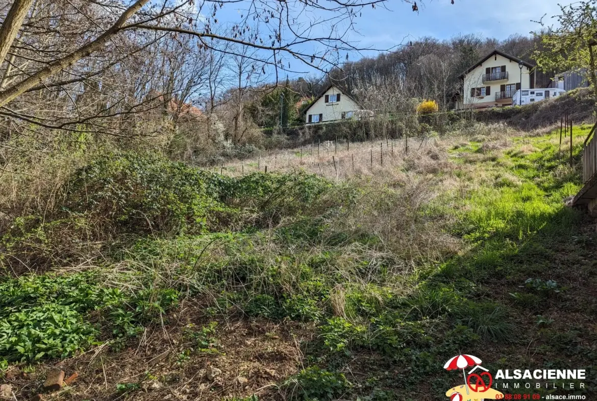 Terrain constructible de 6,58 ares à Barr avec vue panoramique 