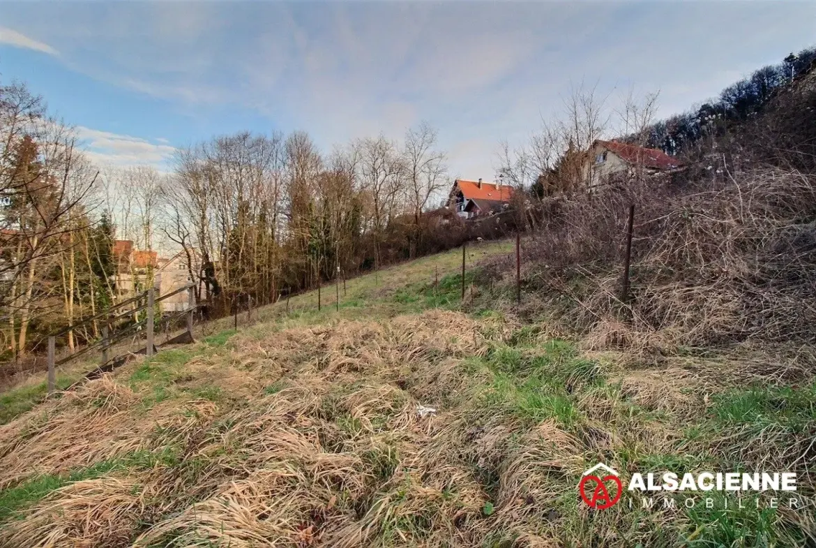 Terrain constructible de 6,58 ares à Barr avec vue panoramique 