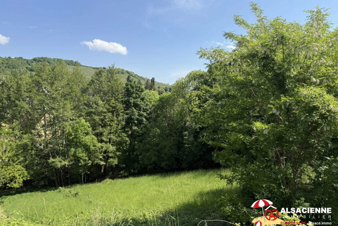 Terrain constructible de 6,58 ares à Barr avec vue panoramique 