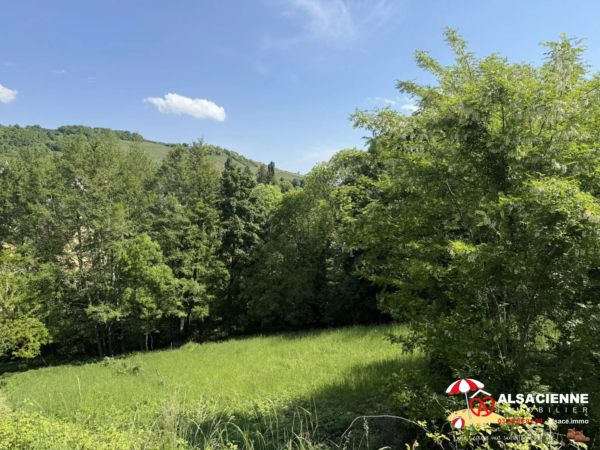Terrain constructible de 6,58 ares à Barr avec vue panoramique 