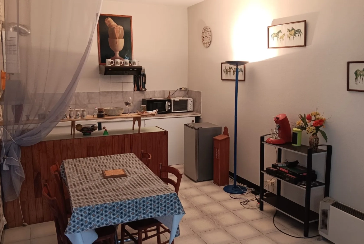 Appartement T2 à vendre à Saint-Béat-Lez avec vue montagne et proximité commerce 