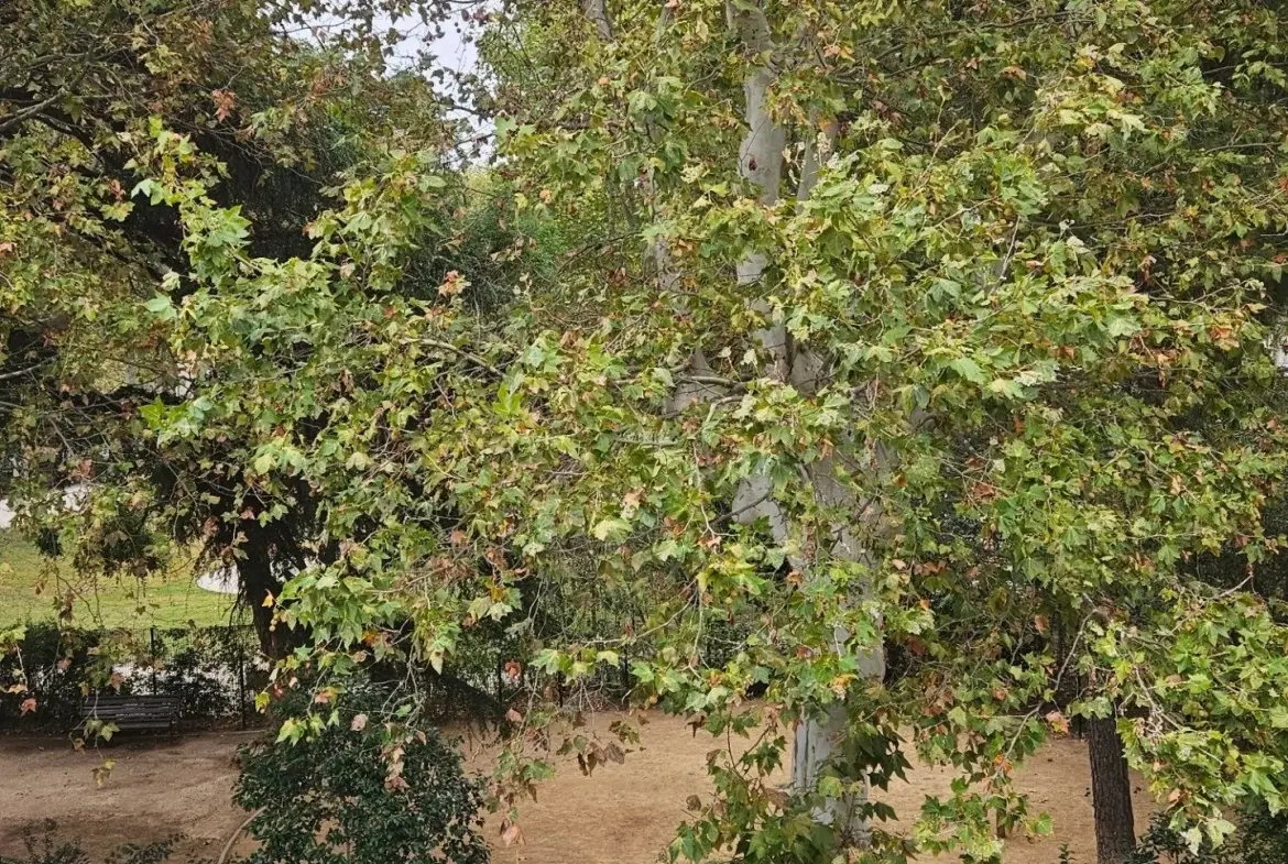 Appartement T5 lumineux avec vue sur parc à Narbonne 