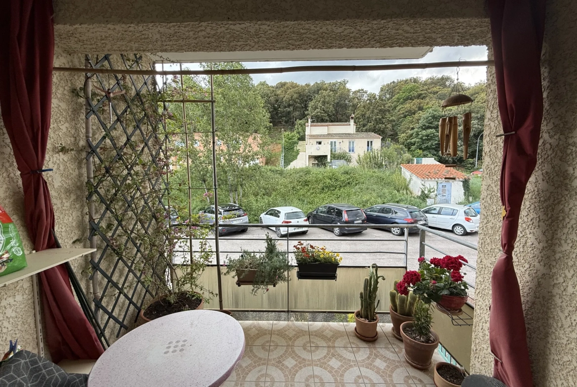 Appartement F2 avec terrasse et garage à Amélie-les-Bains Palalda 