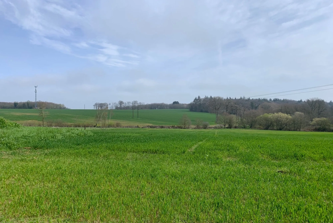 Terrains constructibles à Goven 584 m², vues campagne, close à toutes commodités 