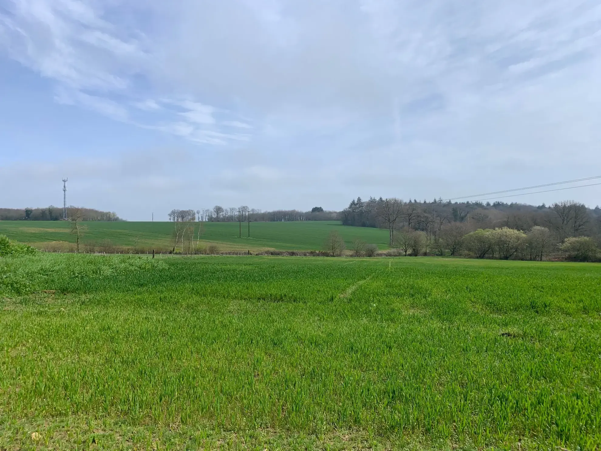 Terrains constructibles à Goven 584 m², vues campagne, close à toutes commodités 
