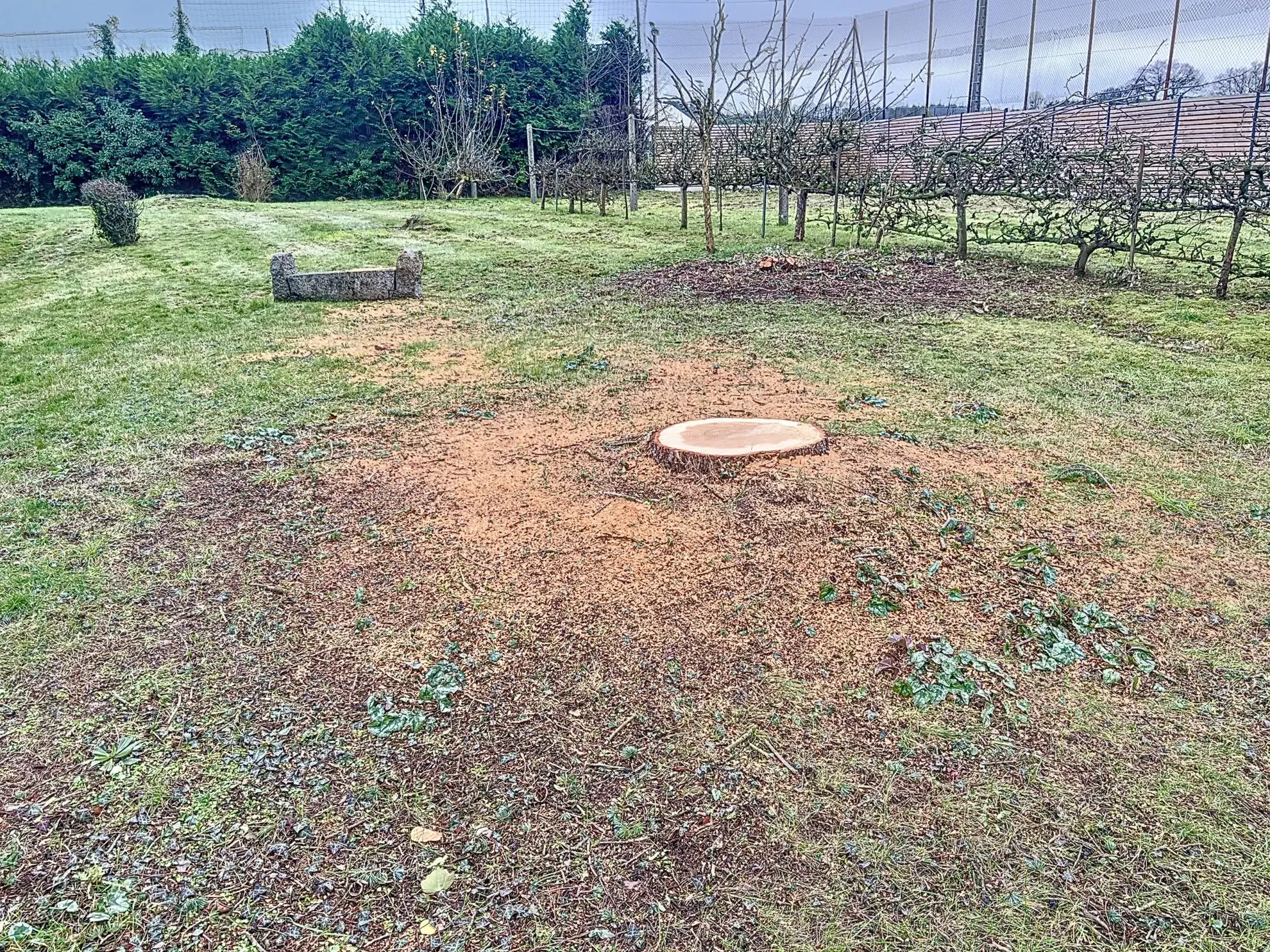 Terrain viabilisé de 574 m² au centre de Quessoy – Opportunité à saisir 