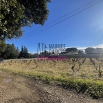 Terrains constructibles à Sorgues en lotissement de 8 lots, viabilisés et libre de constructeur