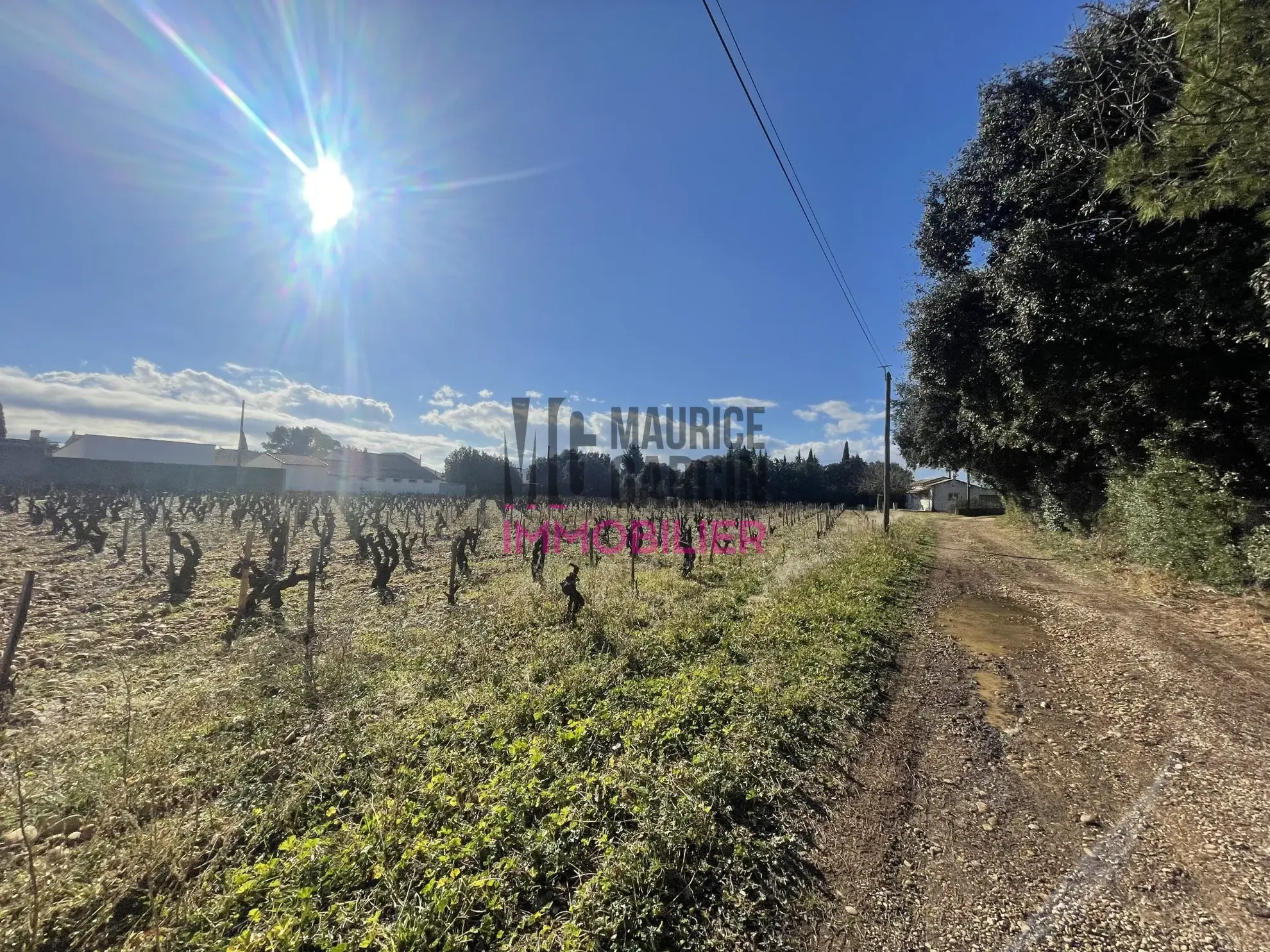 Terrains constructibles à Sorgues en lotissement de 8 lots, viabilisés et libre de constructeur 
