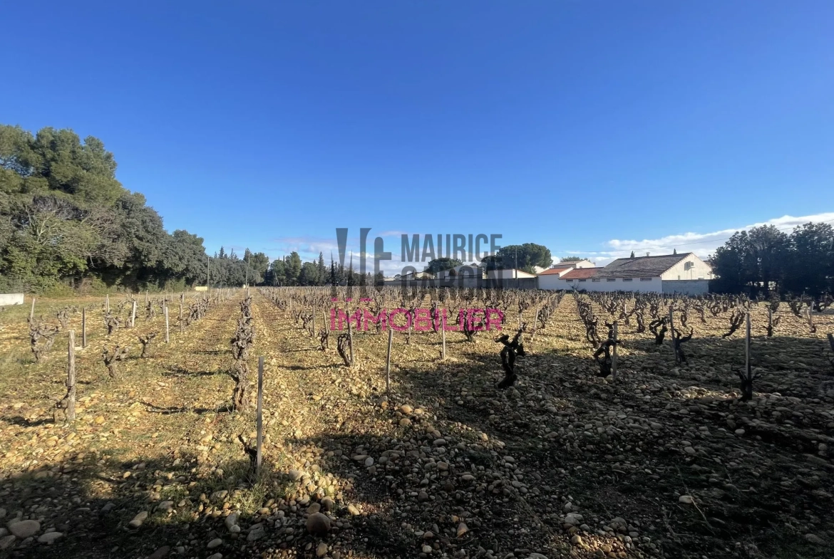 Terrains constructibles à Sorgues en lotissement de 8 lots, viabilisés et libre de constructeur 