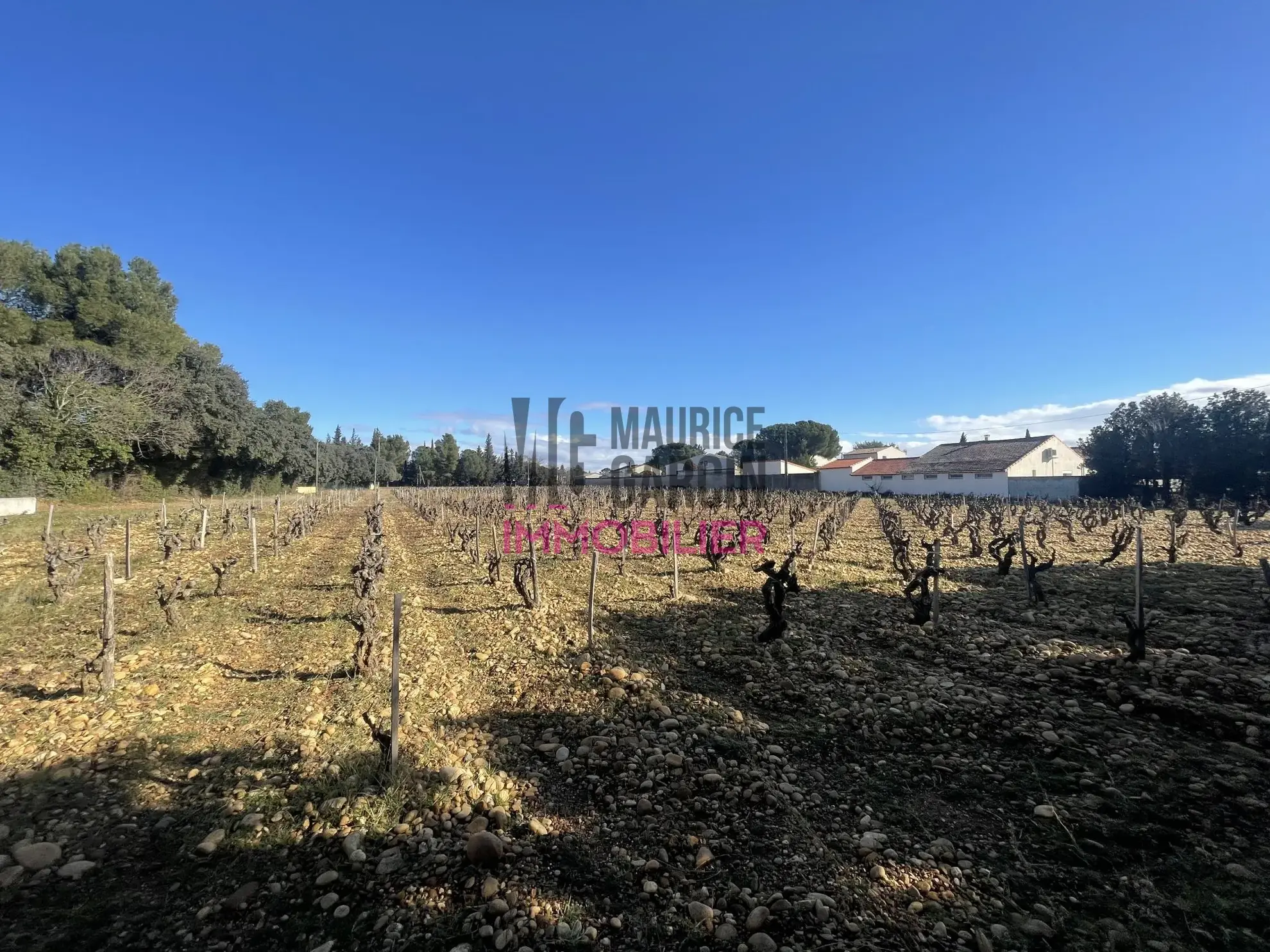 Terrains constructibles à Sorgues en lotissement de 8 lots, viabilisés et libre de constructeur 