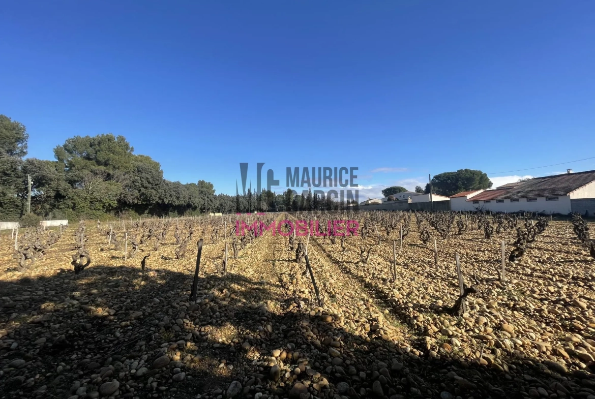 Terrains constructibles à Sorgues en lotissement de 8 lots, viabilisés et libre de constructeur 