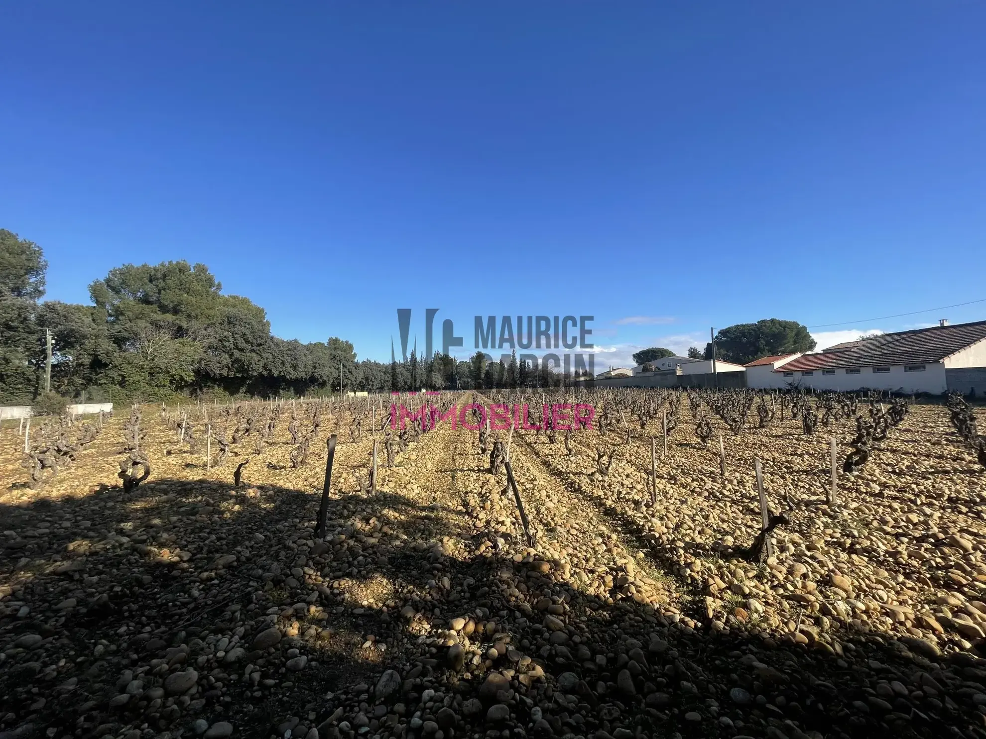 Terrains constructibles à Sorgues en lotissement de 8 lots, viabilisés et libre de constructeur 