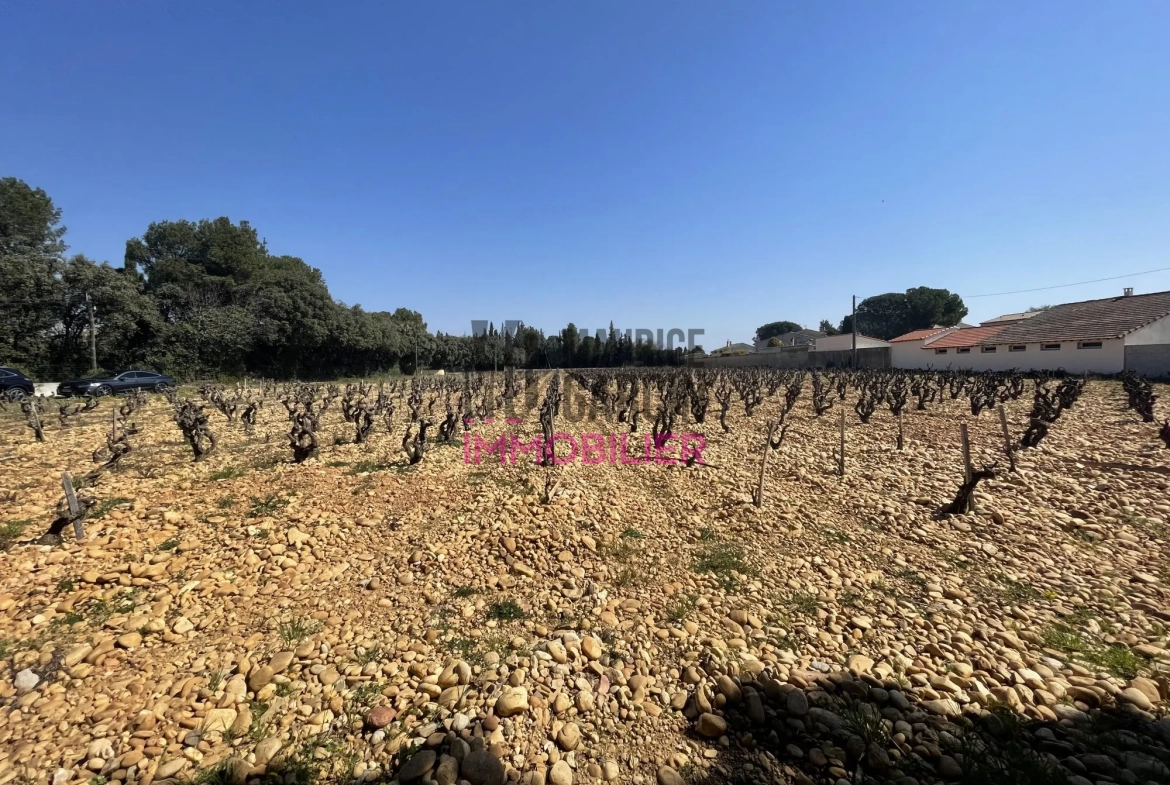 Terrains constructibles à Sorgues en lotissement de 8 lots, viabilisés et libre de constructeur 