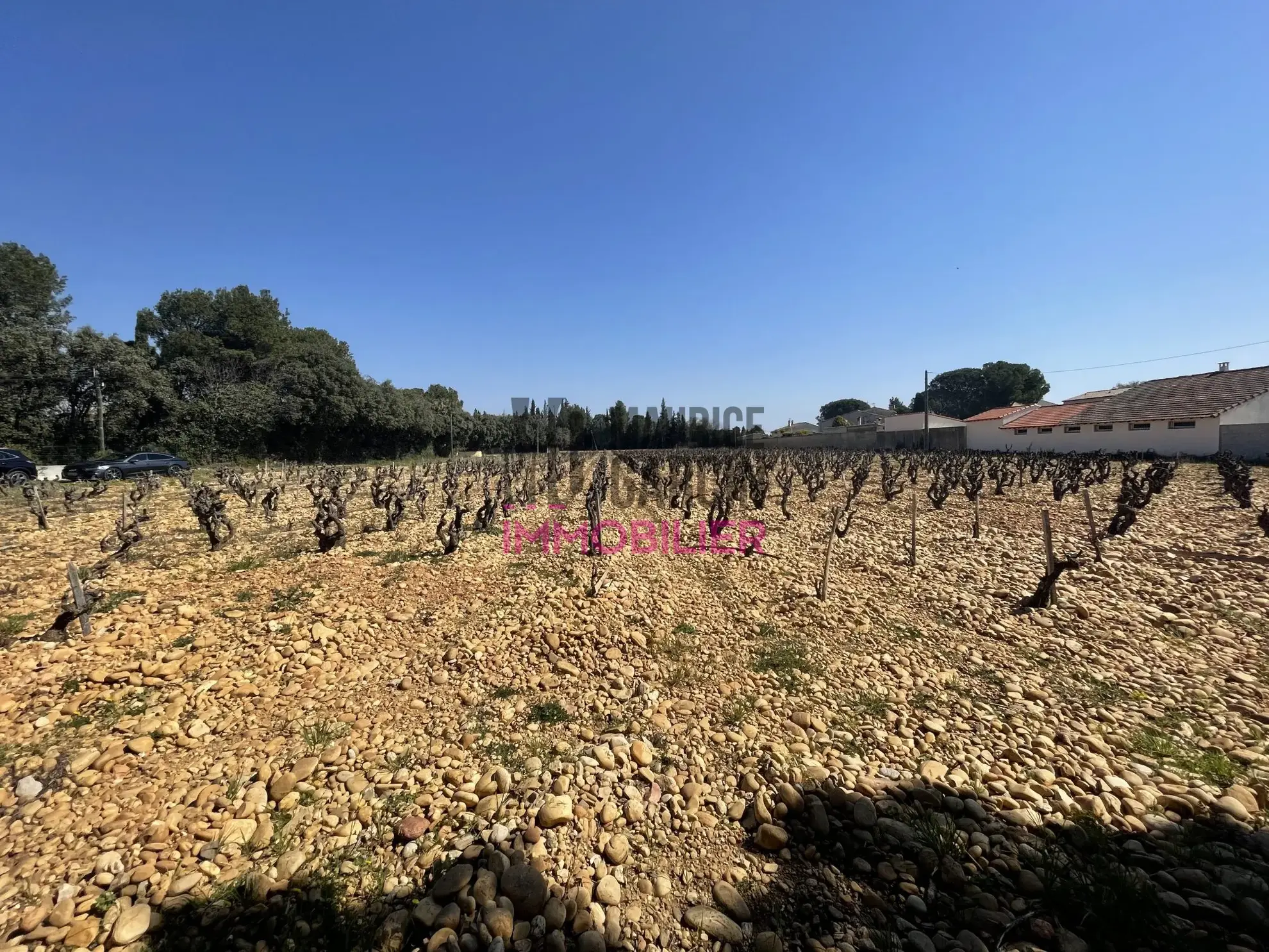Terrains constructibles à Sorgues en lotissement de 8 lots, viabilisés et libre de constructeur 