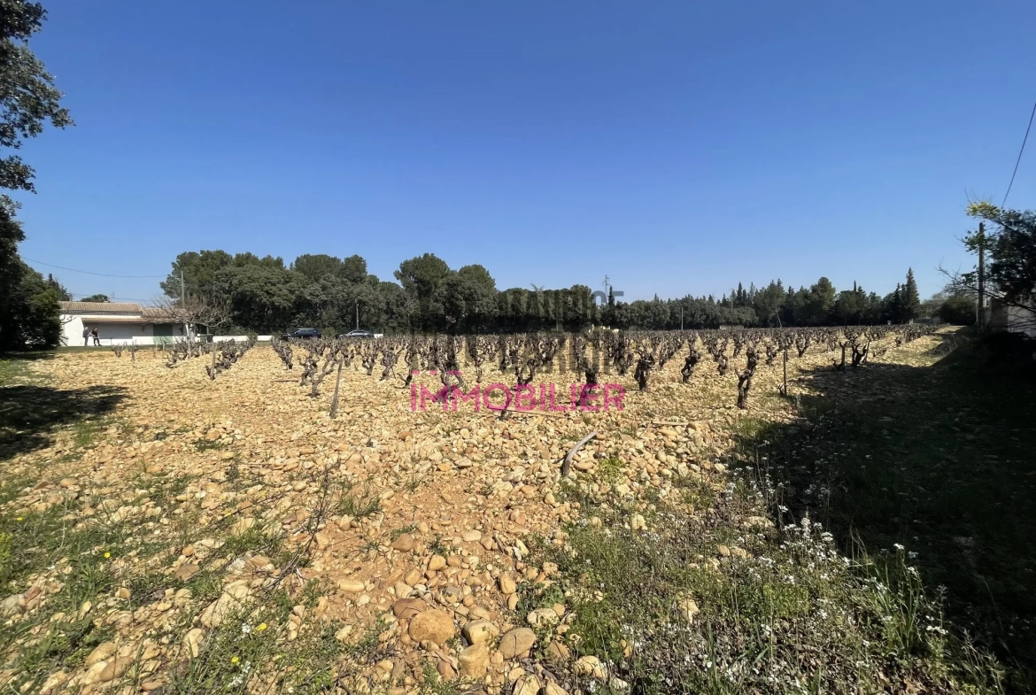 Terrains constructibles à Sorgues en lotissement de 8 lots, viabilisés et libre de constructeur 