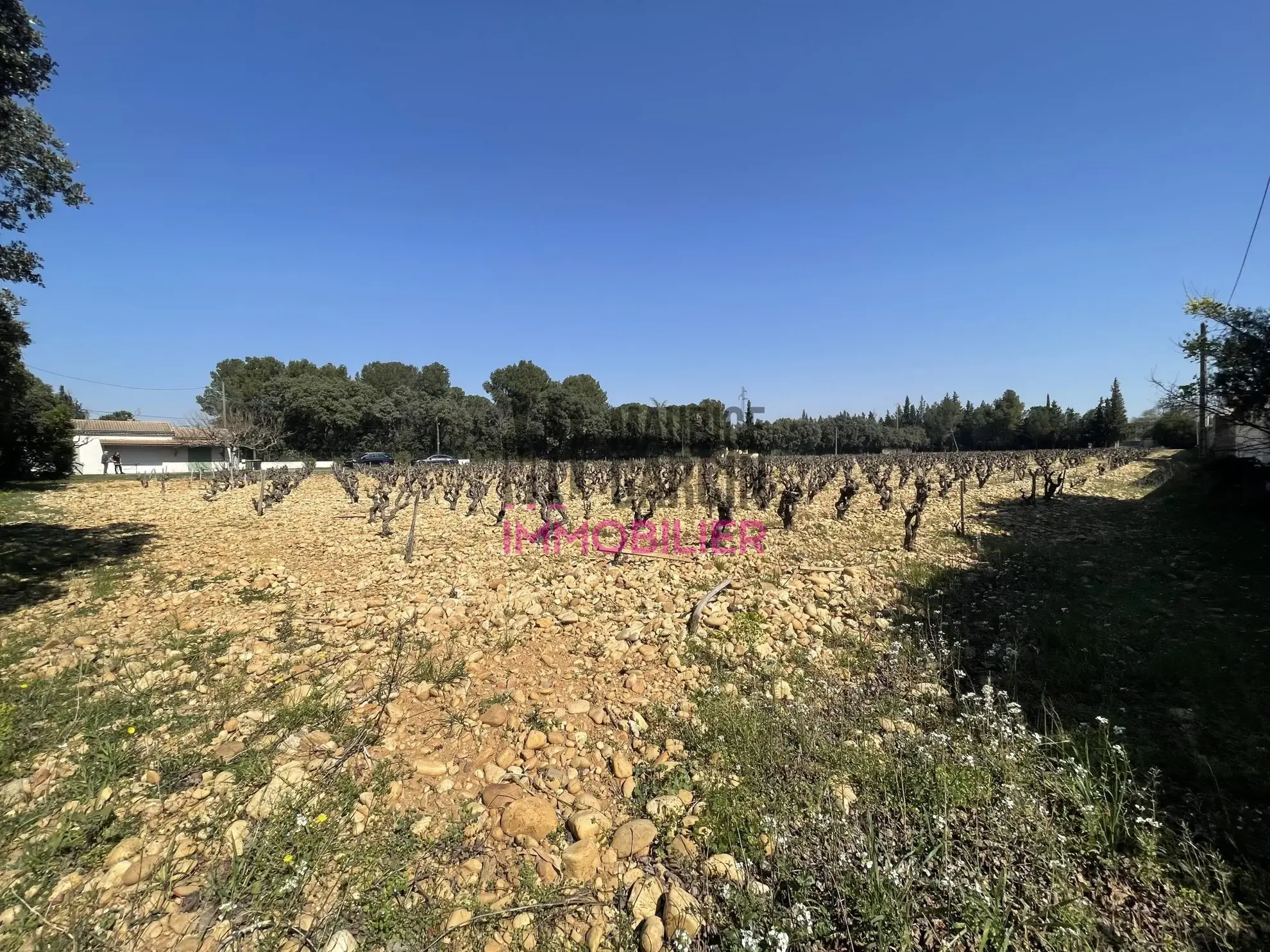 Terrains constructibles à Sorgues en lotissement de 8 lots, viabilisés et libre de constructeur 