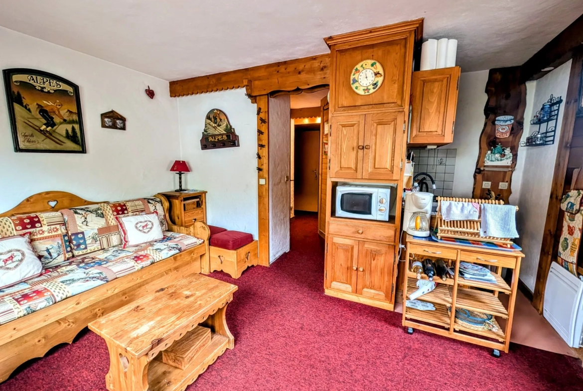 Studio lumineux de 26 m² à vendre au centre des Carroz d'Arâches 