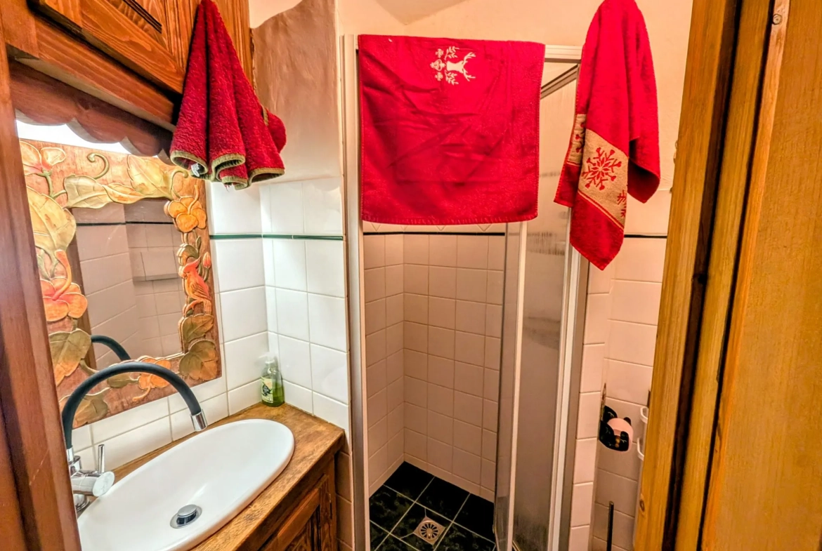 Studio lumineux de 26 m² à vendre au centre des Carroz d'Arâches 