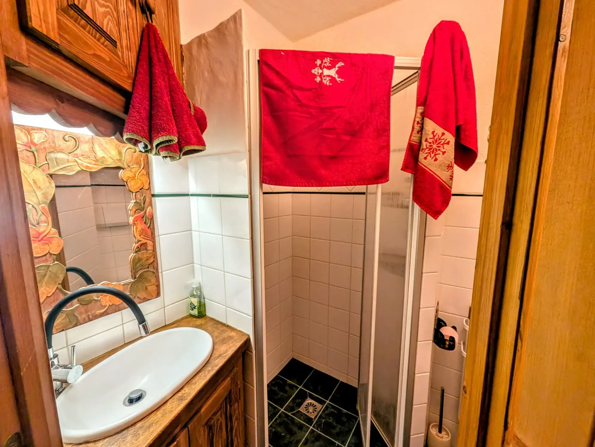 Studio lumineux de 26 m² à vendre au centre des Carroz d'Arâches 