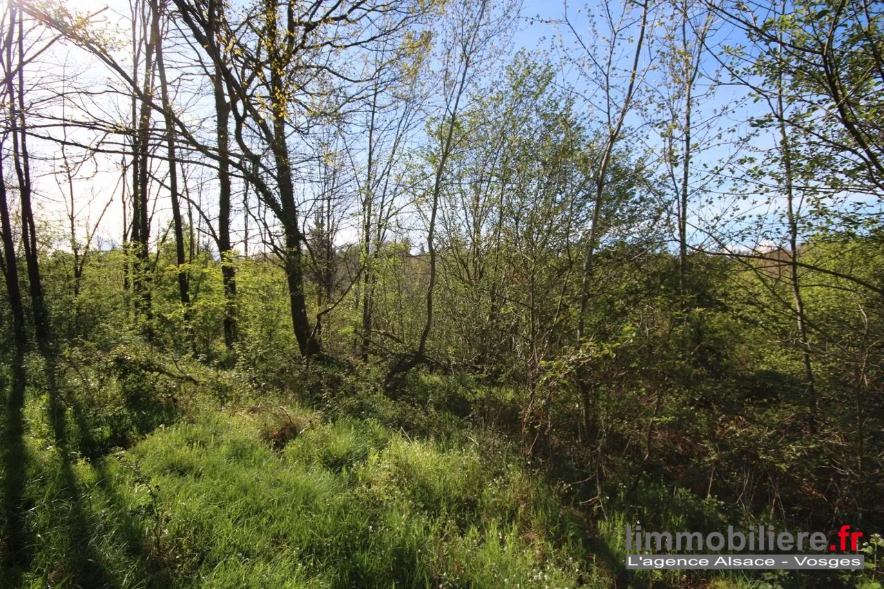 Beau terrain non constructible de 1,5ha avec vue panoramique à Saint Dié Des Vosges 