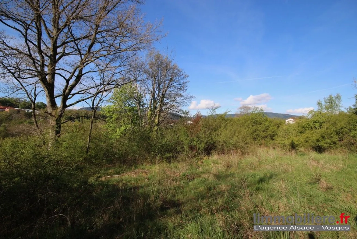 Beau terrain non constructible de 1,5ha avec vue panoramique à Saint Dié Des Vosges 
