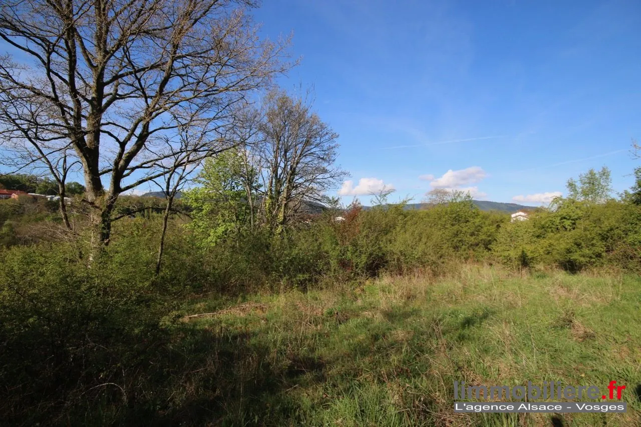 Beau terrain non constructible de 1,5ha avec vue panoramique à Saint Dié Des Vosges 