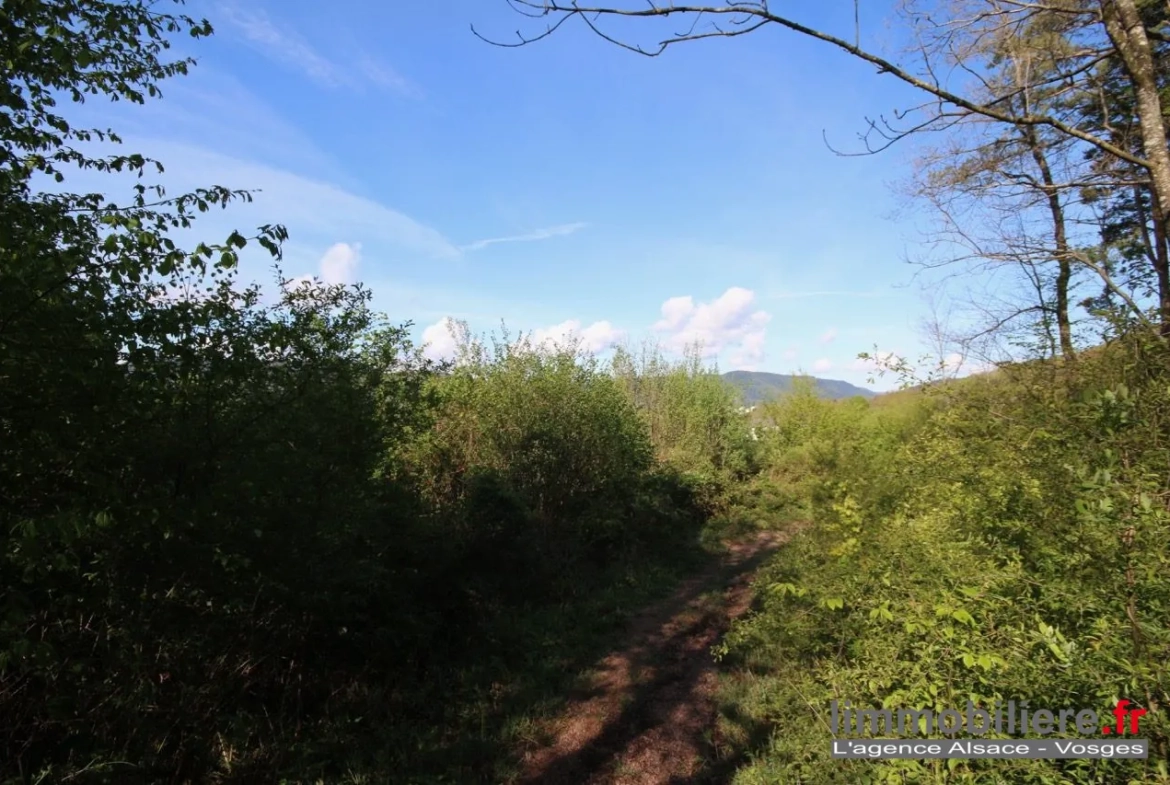 Beau terrain non constructible de 1,5ha avec vue panoramique à Saint Dié Des Vosges 