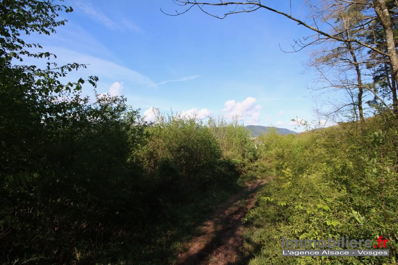 Beau terrain non constructible de 1,5ha avec vue panoramique à Saint Dié Des Vosges 
