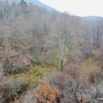 Beau terrain non constructible de 1,5ha avec vue panoramique à Saint Dié Des Vosges