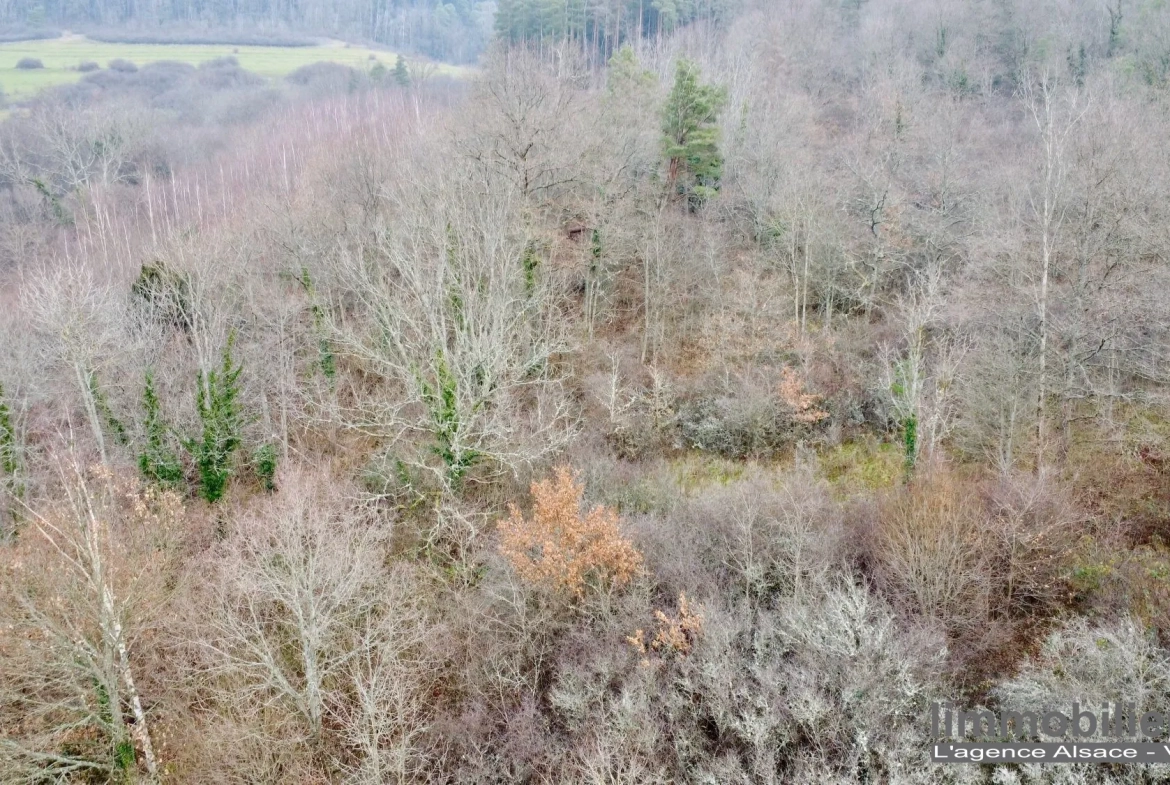 Beau terrain non constructible de 1,5ha avec vue panoramique à Saint Dié Des Vosges 