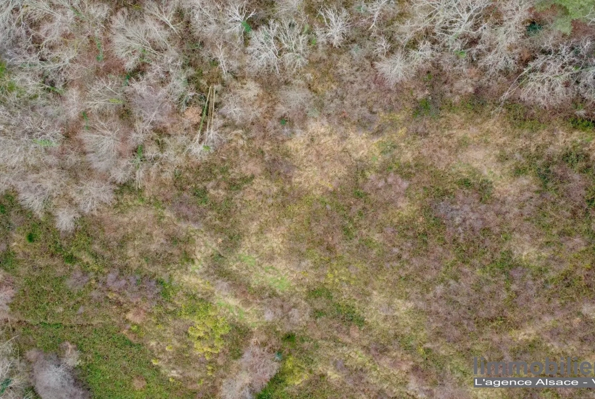Beau terrain non constructible de 1,5ha avec vue panoramique à Saint Dié Des Vosges 