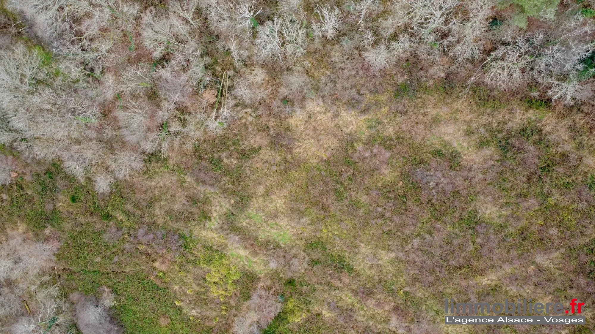 Beau terrain non constructible de 1,5ha avec vue panoramique à Saint Dié Des Vosges 