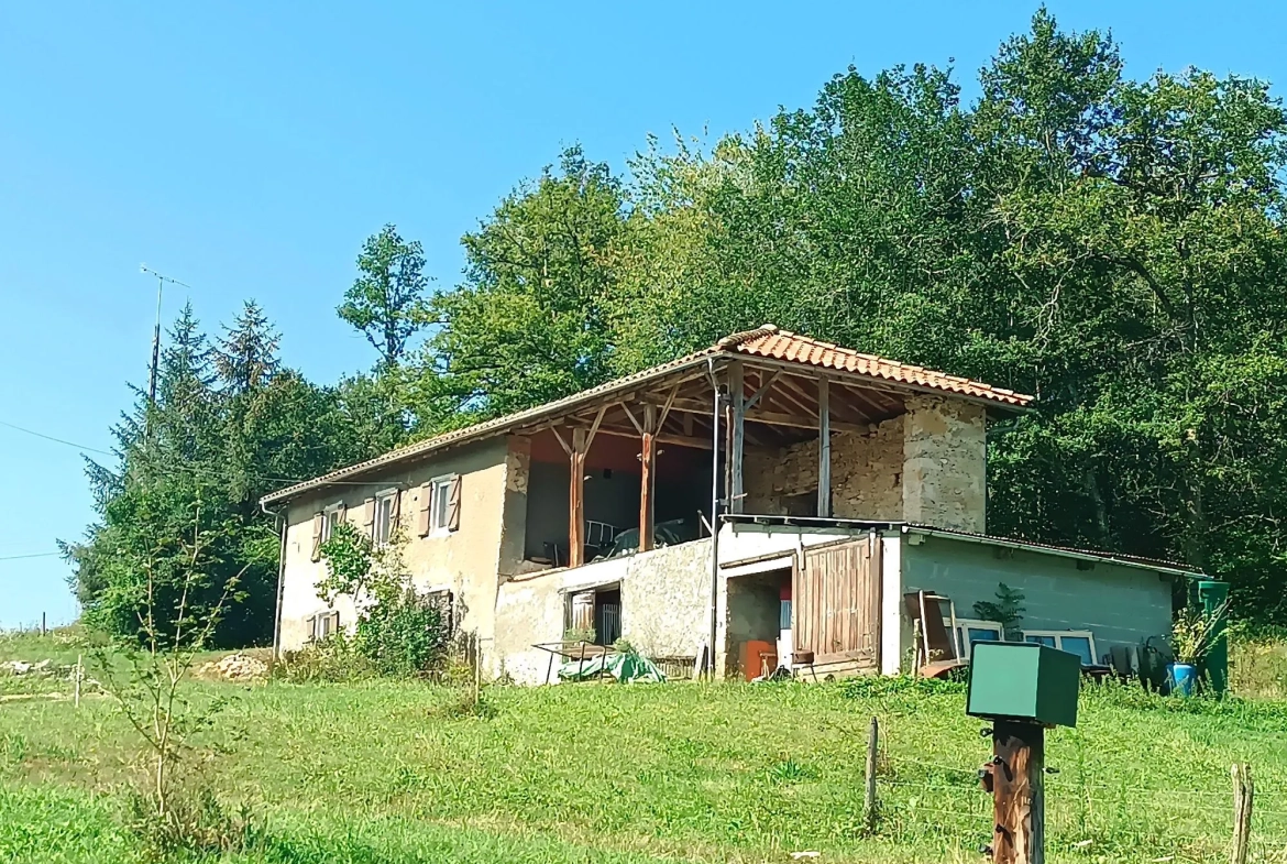 Maison à rénover avec dépendances et grands terrains à Sainte Croix Volvestre 